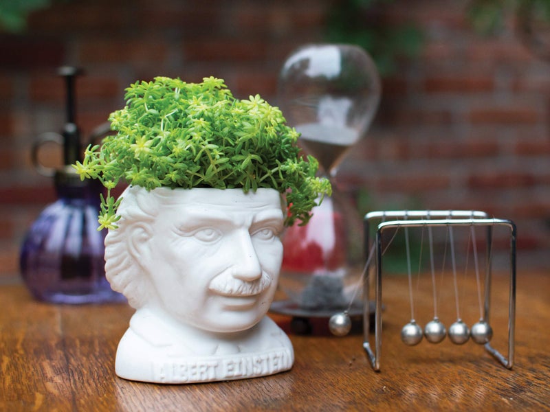 The Unemployed Philosophers Guild Albert Einstein Bust Ceramic Planter - Image 4